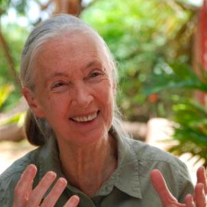Jane Goodall Photo de Profile